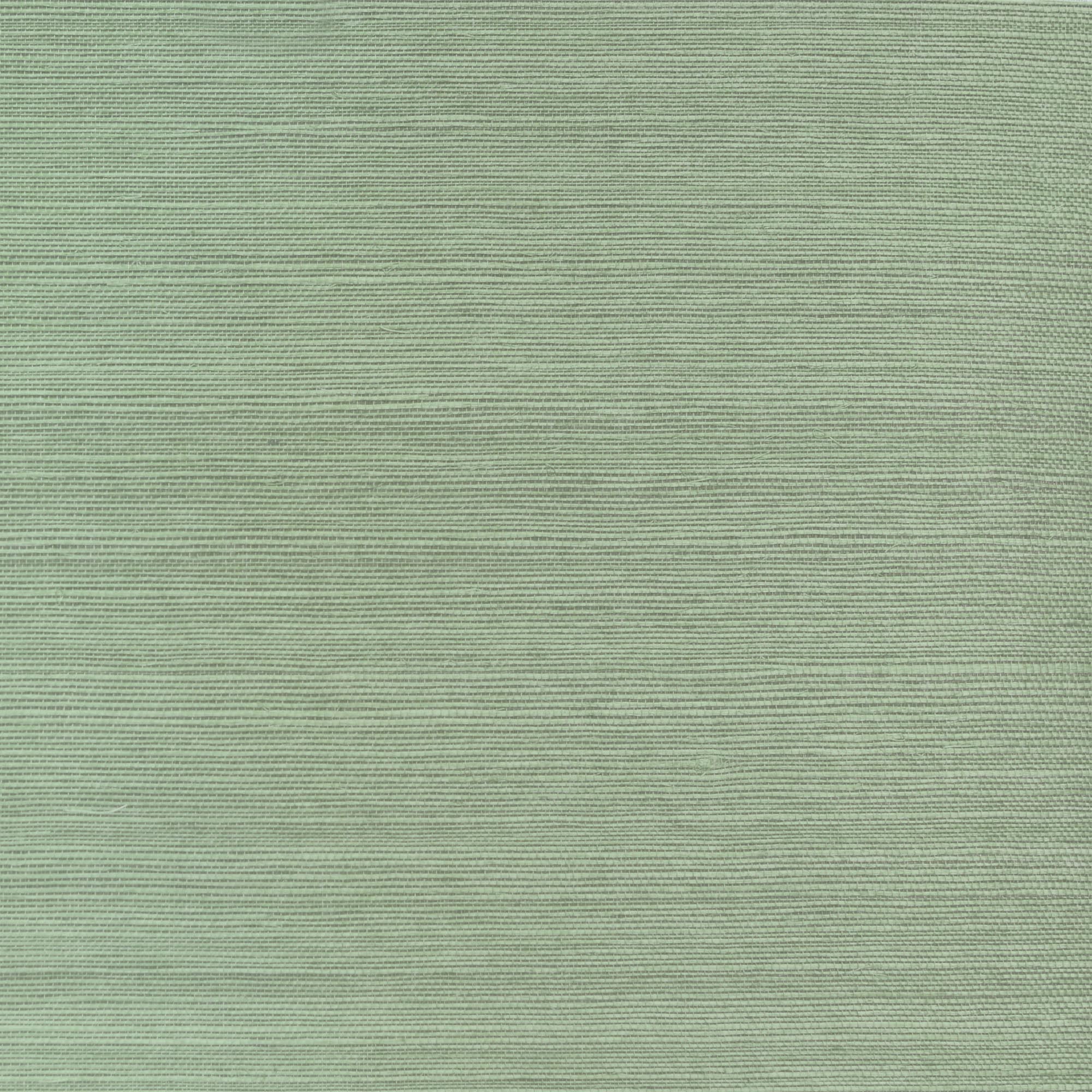 Enya Sisal | Desert Sage
