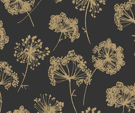 Ammi | Black And Gold