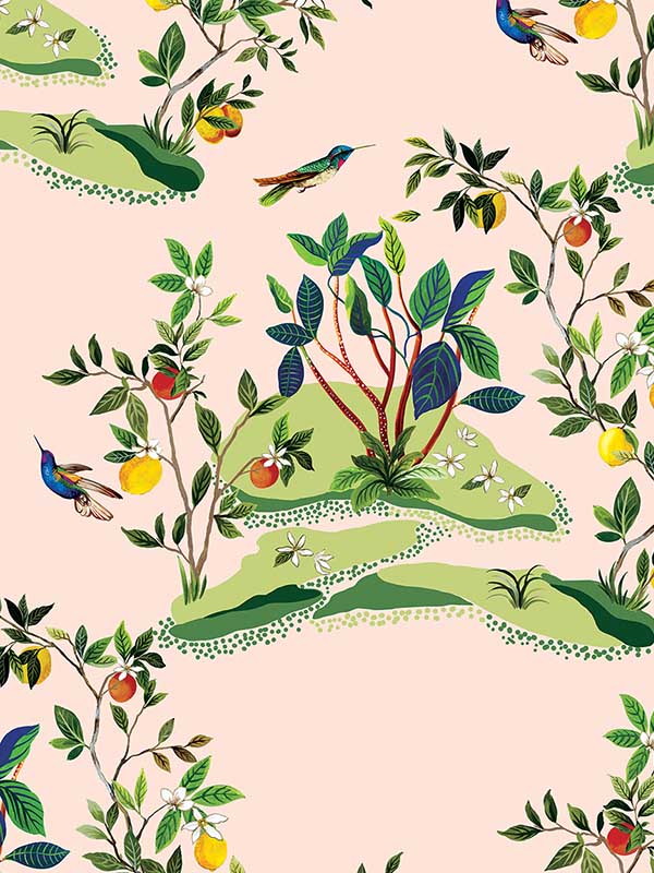 Citrus Hummingbird | Blush