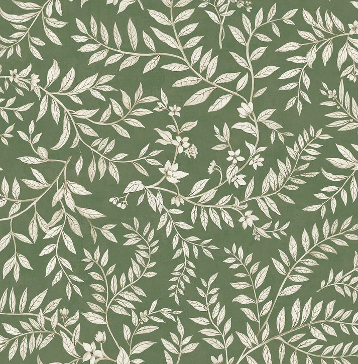 Vining Leaf Trail | Pine Field