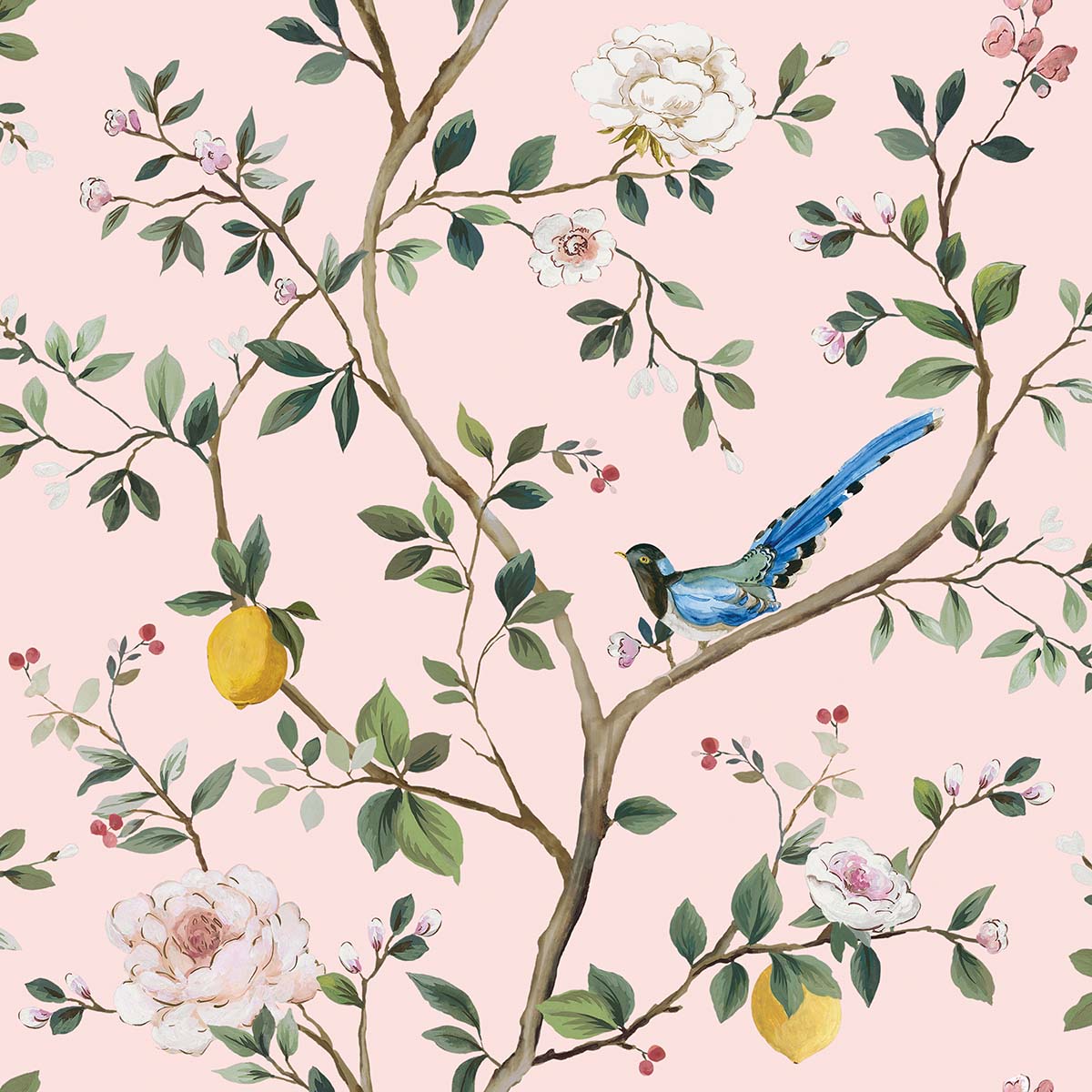 Blossom Citrus Floral Narrow | Blush