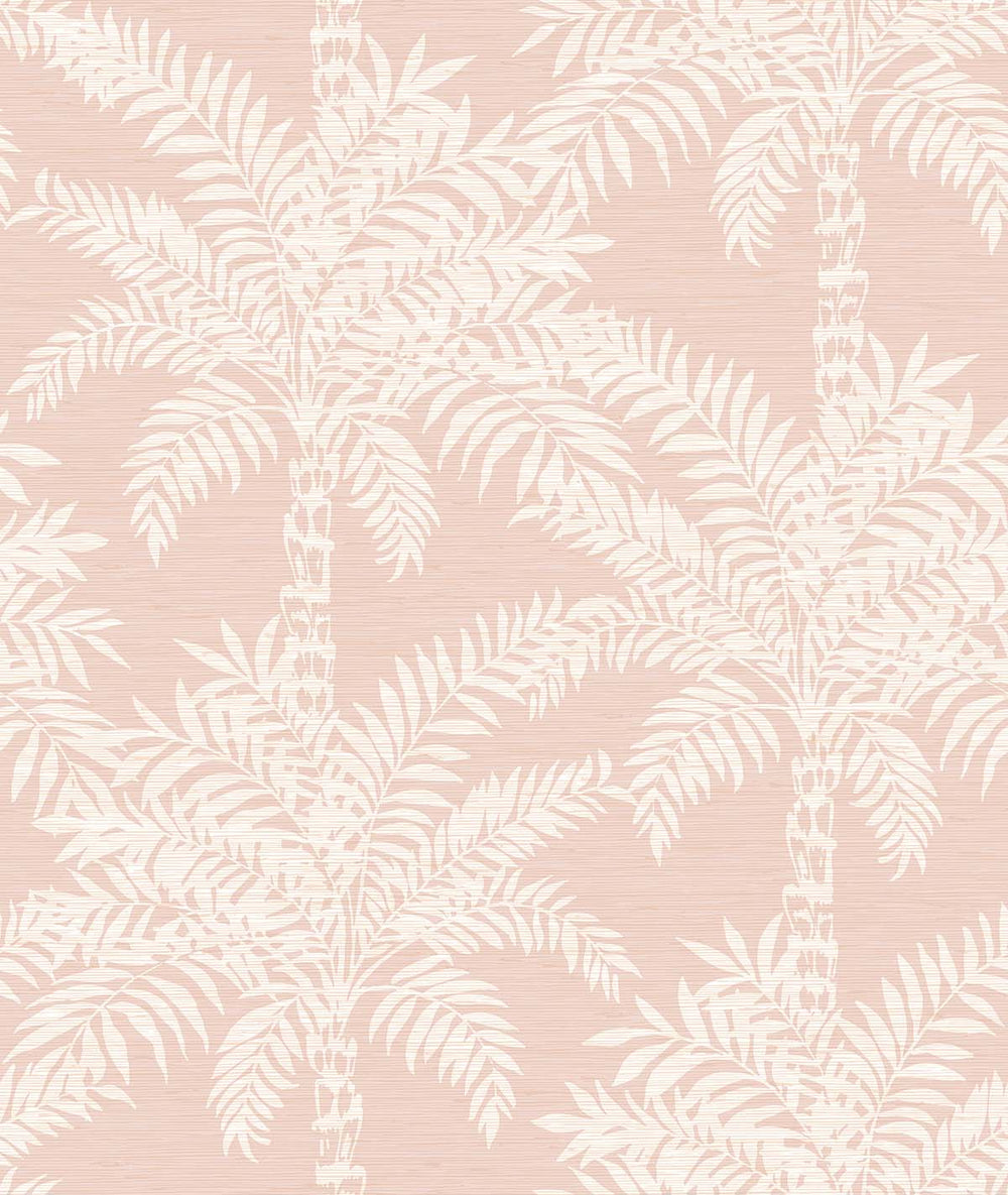 Beach Palms | Blush