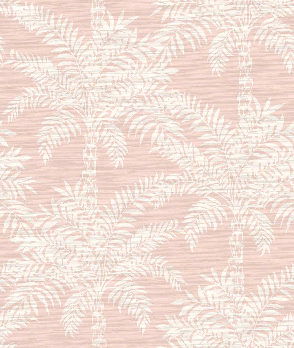 Beach Palms | Blush