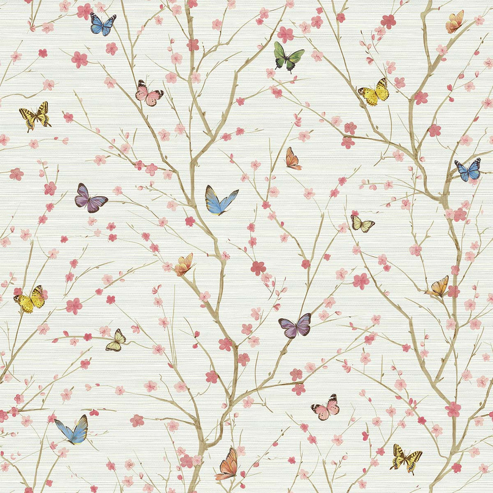 Papillon | Specialty