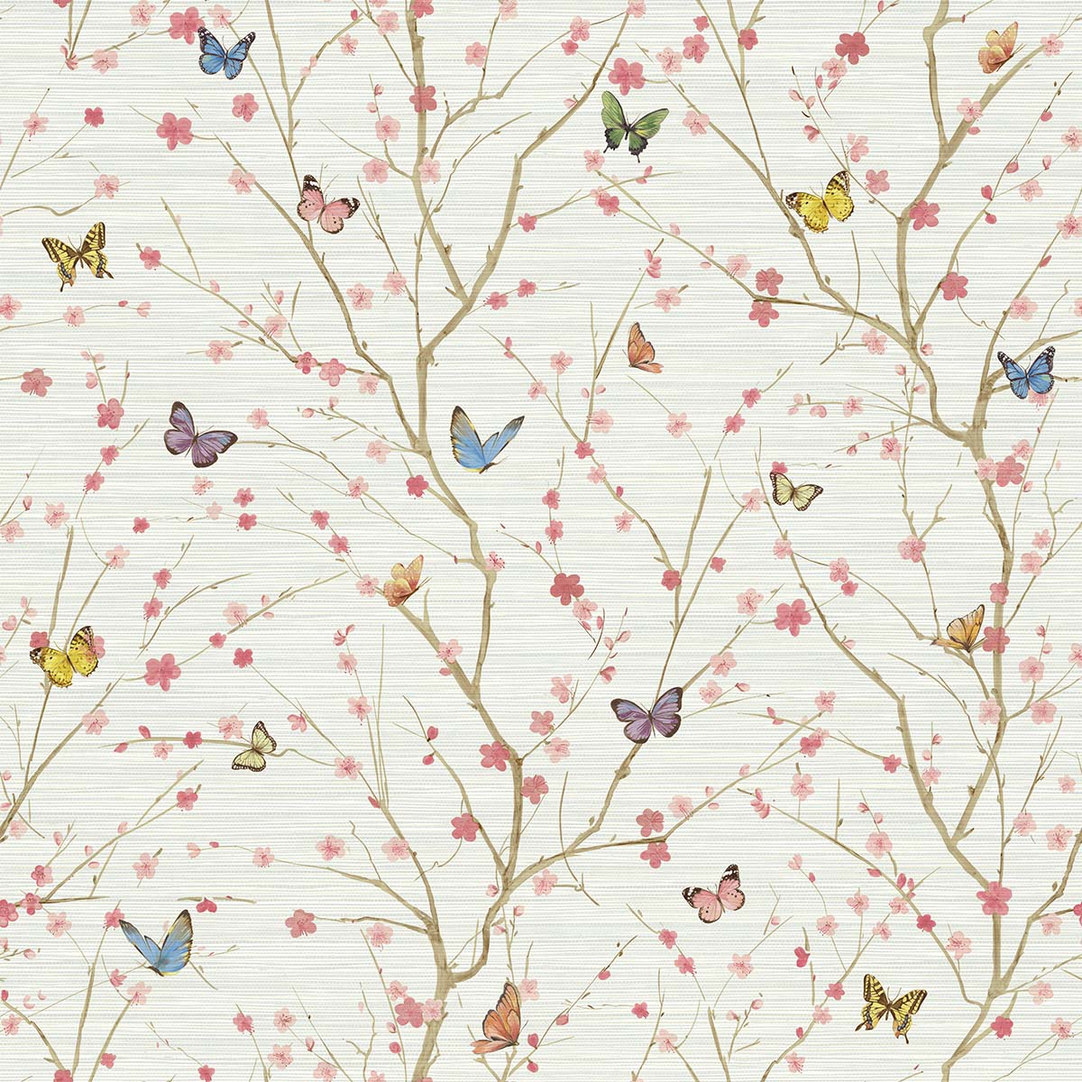 Papillon | Specialty