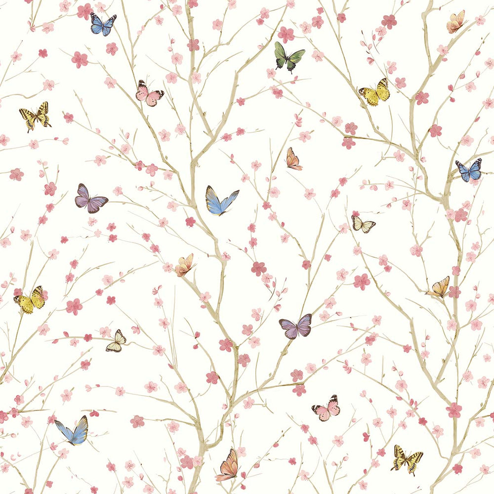 Papillon | White