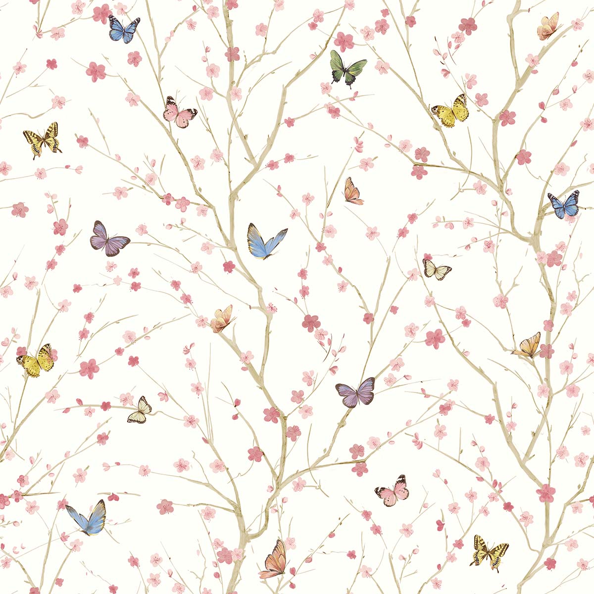 Papillon | White