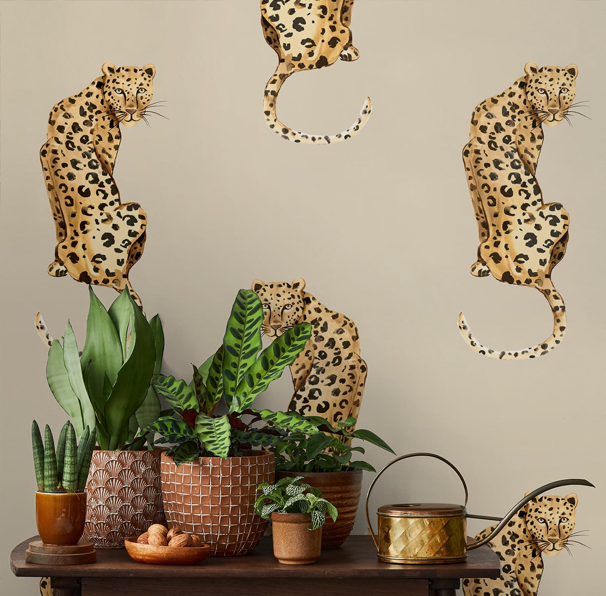 Leopard King | Pale Oak