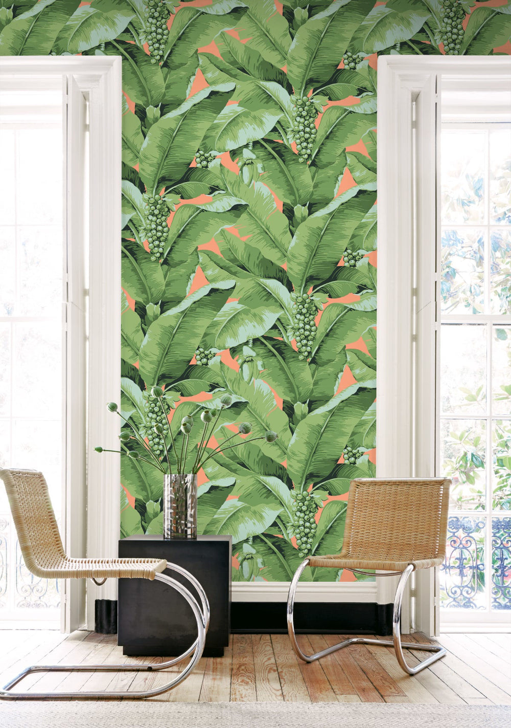 Paradisio Palm | Coral