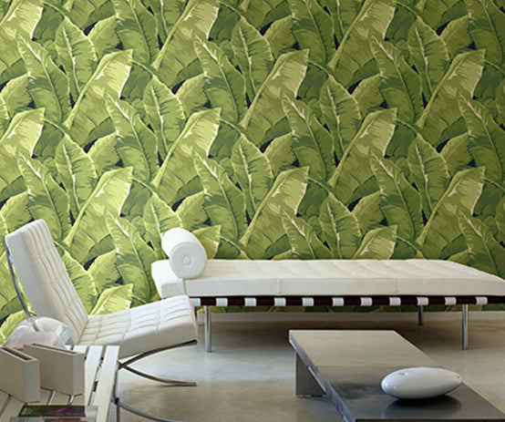 banana leaf bold wallpaper print