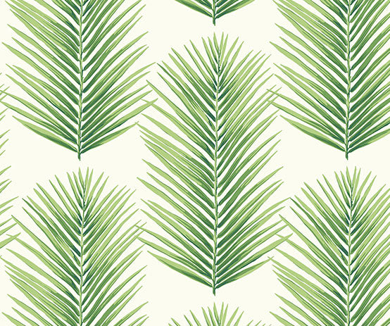 green palm fern pattern wallpaper